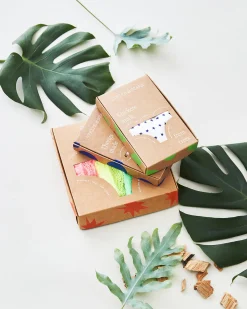 Basics Knicker Box - Sand Essentials