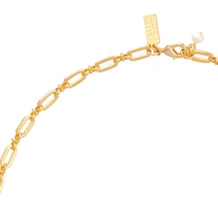 California Long Chain Necklace Gold