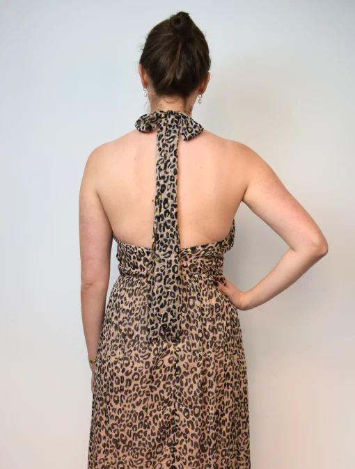 Celine Dress Leo 01