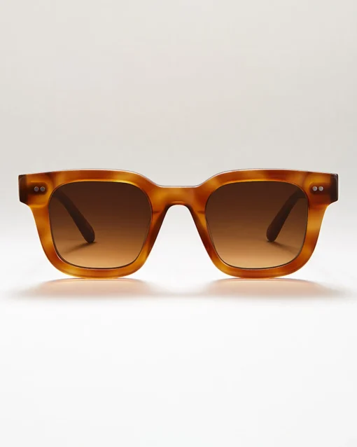 Chimi 04 Tortoise