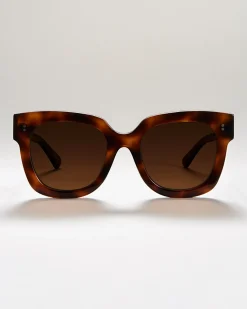 Chimi 08 Tortoise