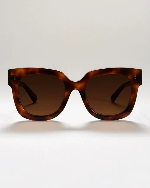 Chimi 08 Tortoise