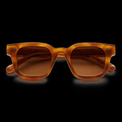 Chimi 04 Tortoise
