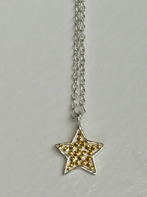 My Star Necklace