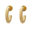 Ridge Earrings